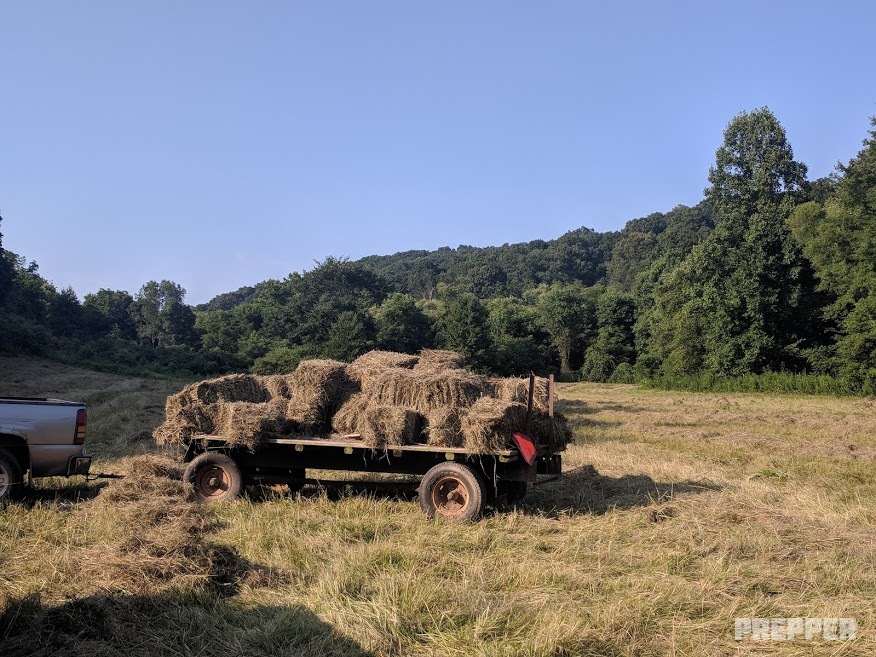 survival retreat hayfield