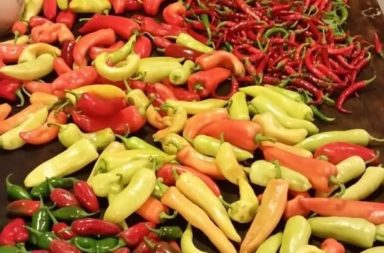 Peppers for Preppers
