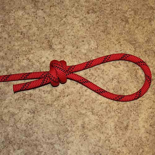 poacher's knot