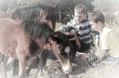 Prepper Kids Petting Horses